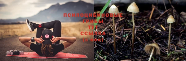 гашишное масло Горно-Алтайск