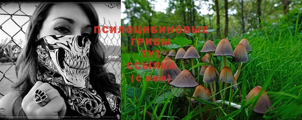 гашиш Горнозаводск