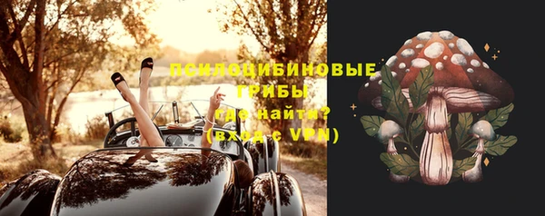 мдма Горняк
