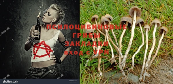 мдма Горняк