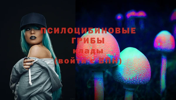 мдма Горняк