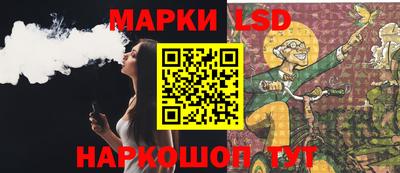 индика Рузаевка