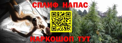 прущие грибы Абинск