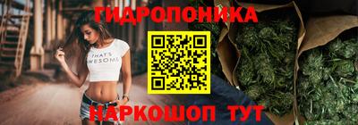 шишки Азнакаево