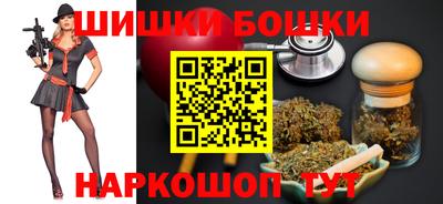 индика Рузаевка