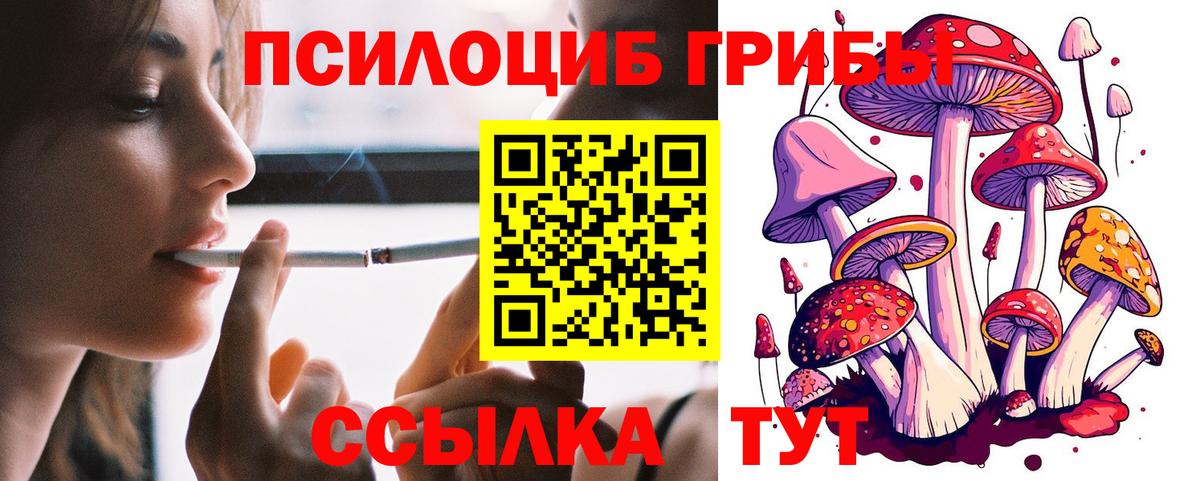 закладки  Галлюциногенные грибы MAGIC MUSHROOMS  Вход с VPN  Омск  Псилоцибиновые грибы мицелий 