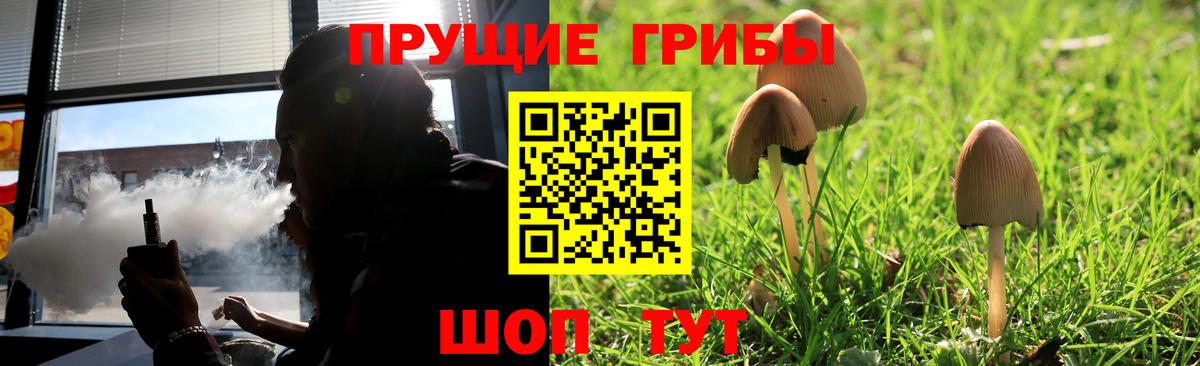 Псилоцибиновые грибы мухоморы Омск