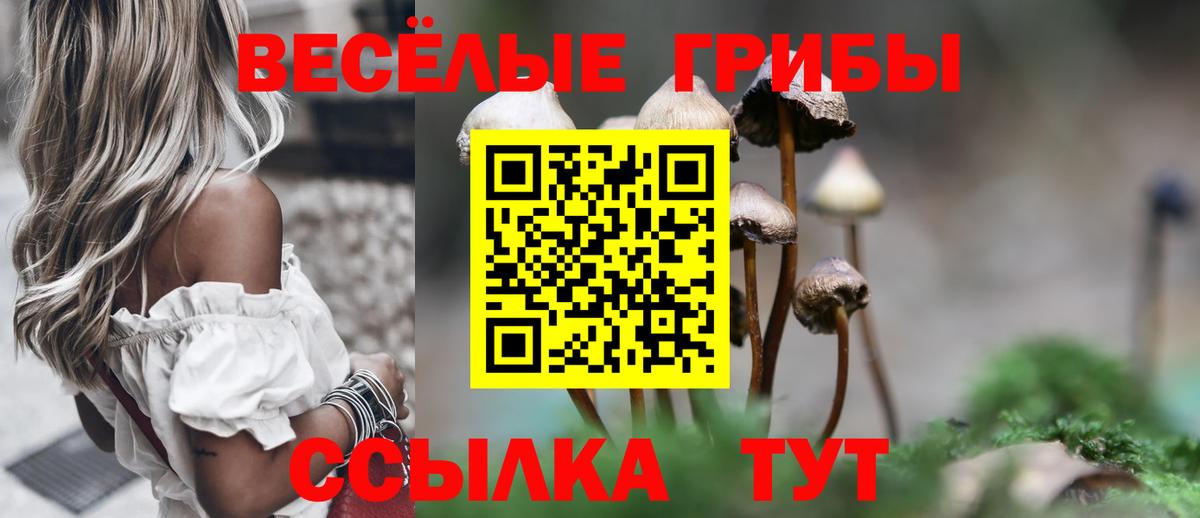 Омск  Псилоцибиновые грибы прущие грибы  Вход с VPN 